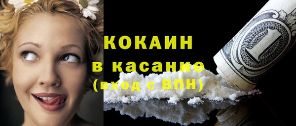 PSILOCYBIN Алзамай