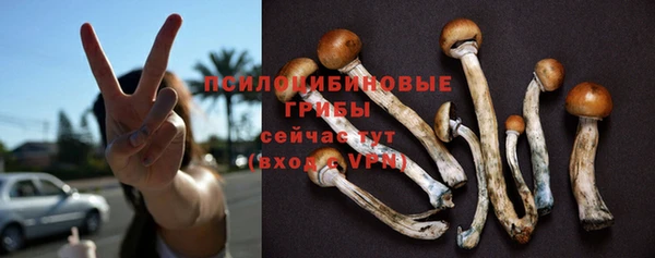 кокс Алексеевка