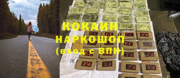 PSILOCYBIN Алзамай