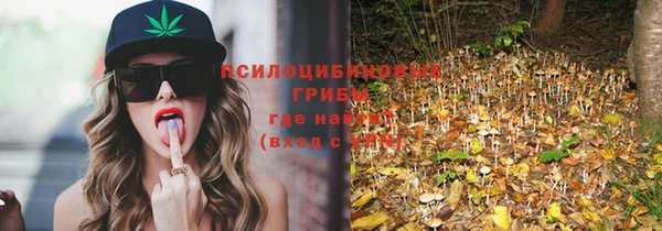 кокс Алексеевка