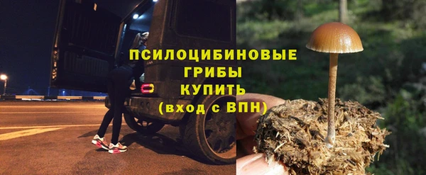 кокс Алексеевка