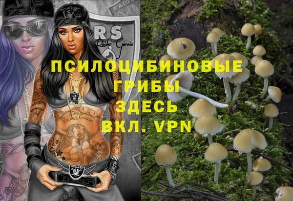 PSILOCYBIN Алзамай