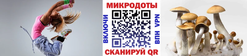 Галлюциногенные грибы Psilocybe  Дегтярск 